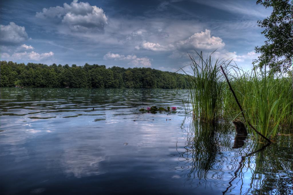 Hotel Am Liepnitzsee Wandlitz Εξωτερικό φωτογραφία