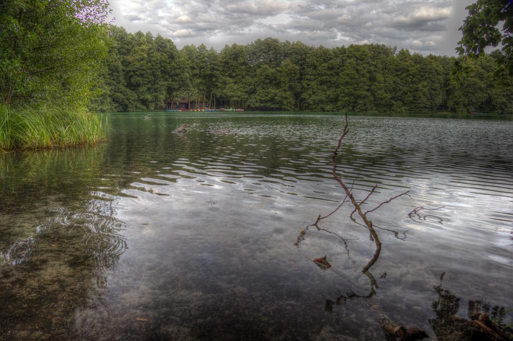 Hotel Am Liepnitzsee Wandlitz Εξωτερικό φωτογραφία