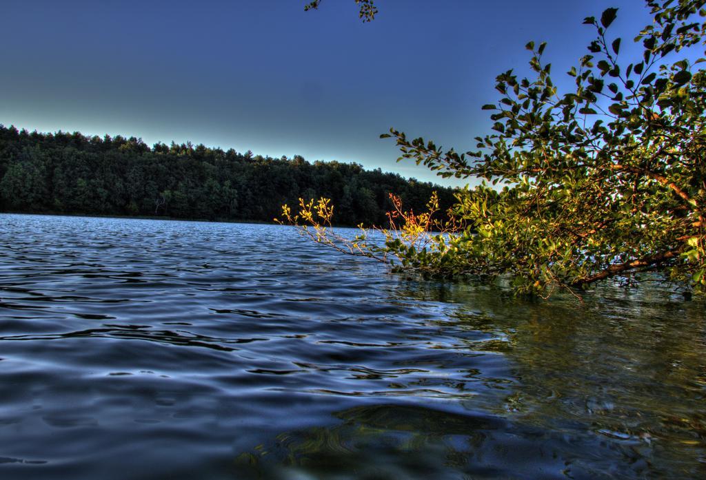 Hotel Am Liepnitzsee Wandlitz Εξωτερικό φωτογραφία